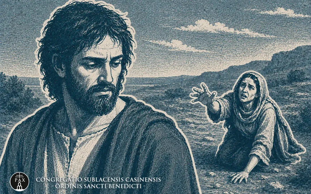 16 agosto 2026 | XX Domenica del tempo ordinario